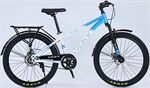 Xe đạp địa hình thể thao Vicky VC600 2024